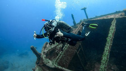 1 dive for certified divers in Tenerife